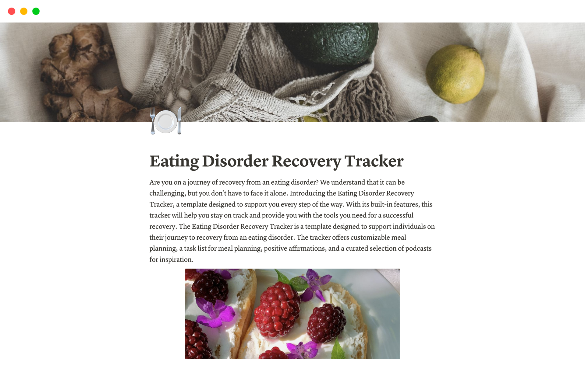 A template preview for Eating Disorder Recovery Tracker