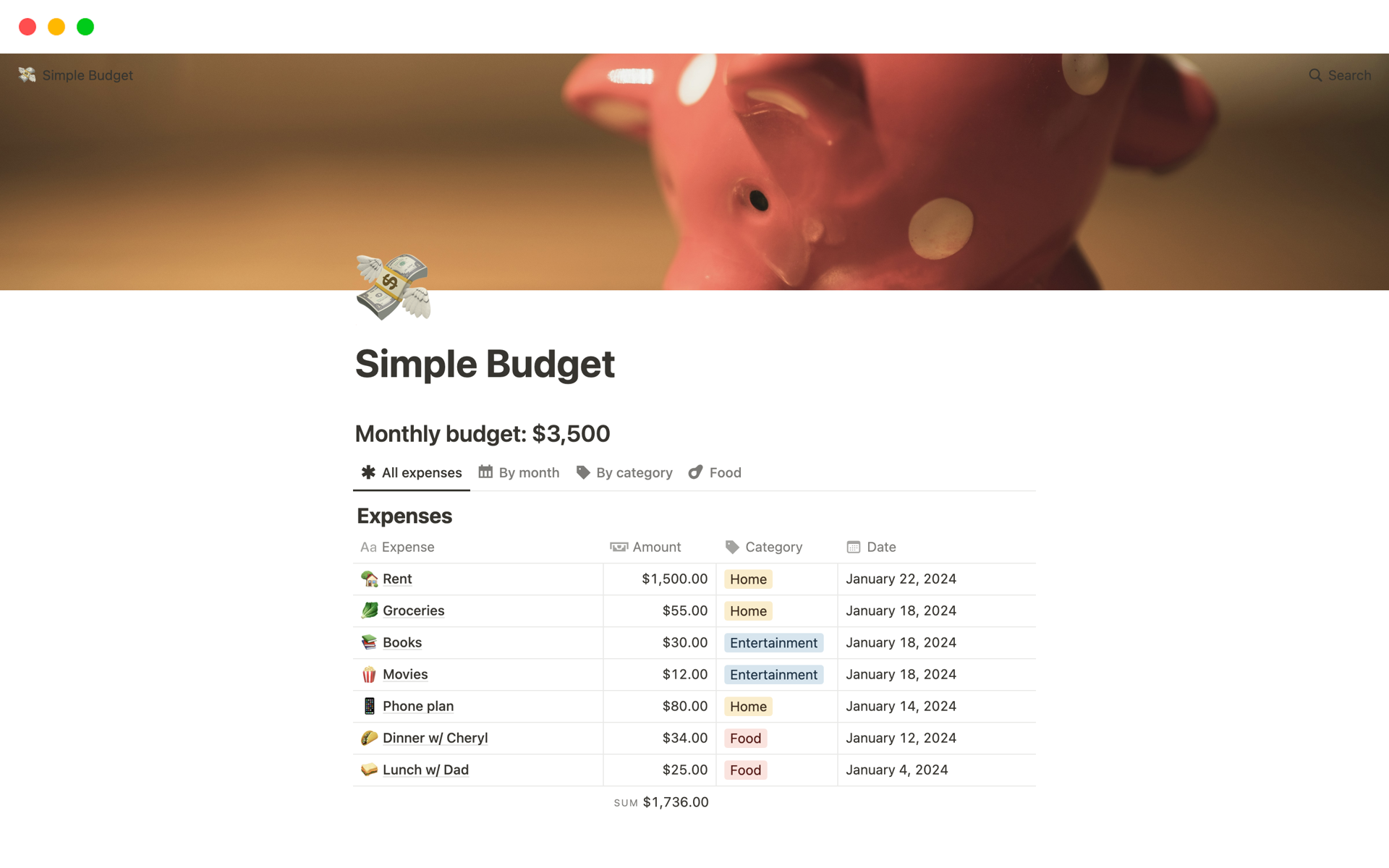 A template preview for Simple Budget