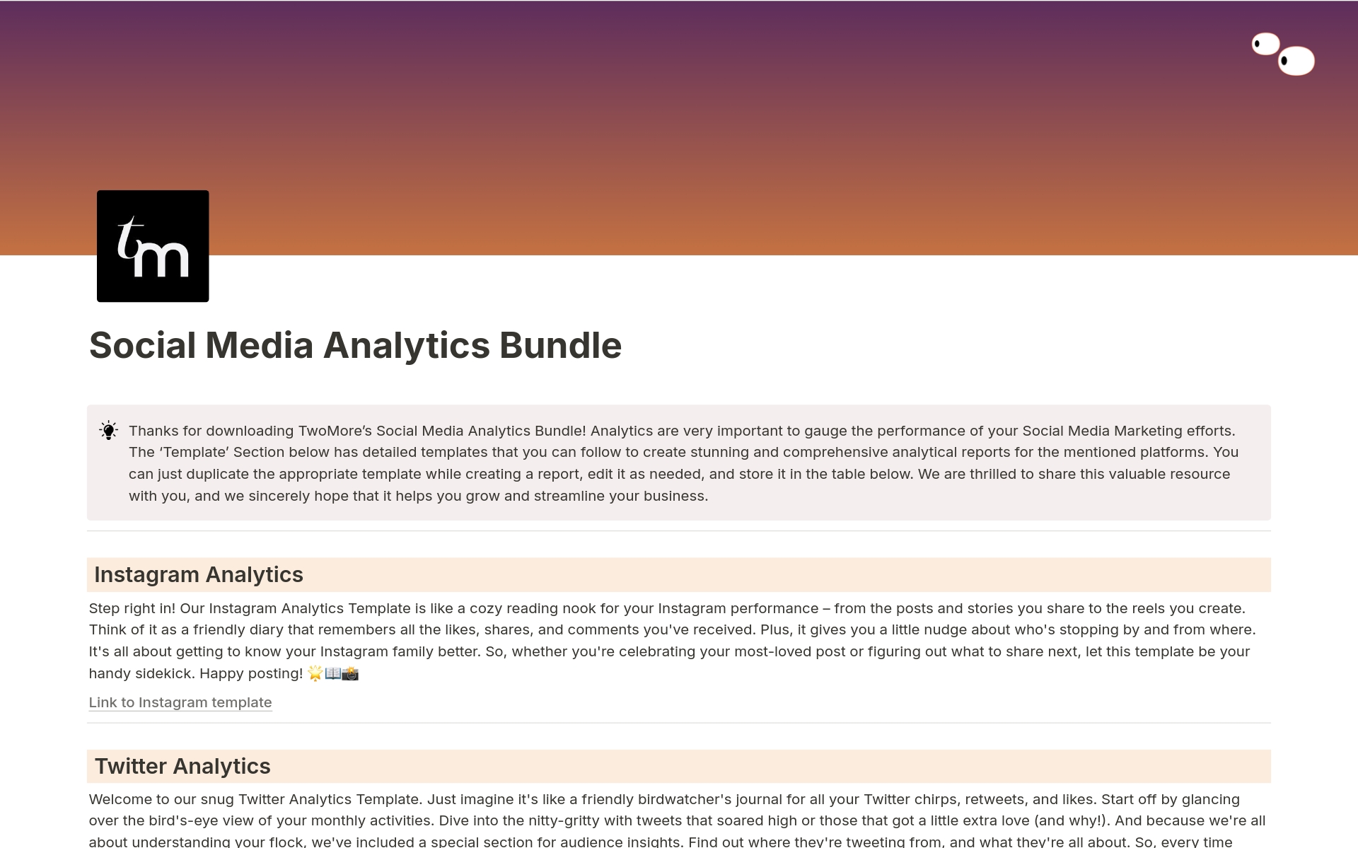 A template preview for Social Media Analytics Kit