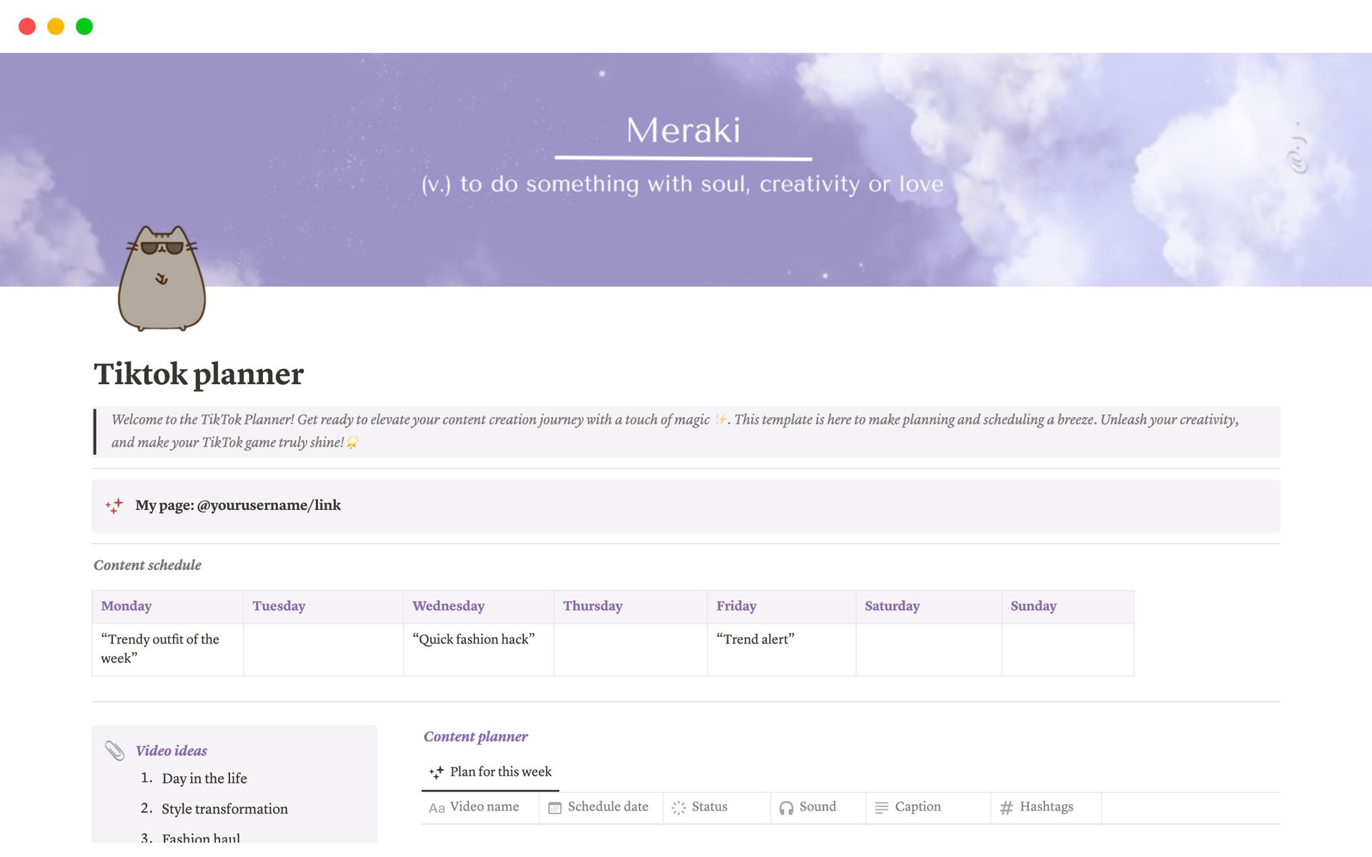 Level up your TikTok game with this template! Plan your content, jot down video ideas, set goals, organize your posts, and track your success