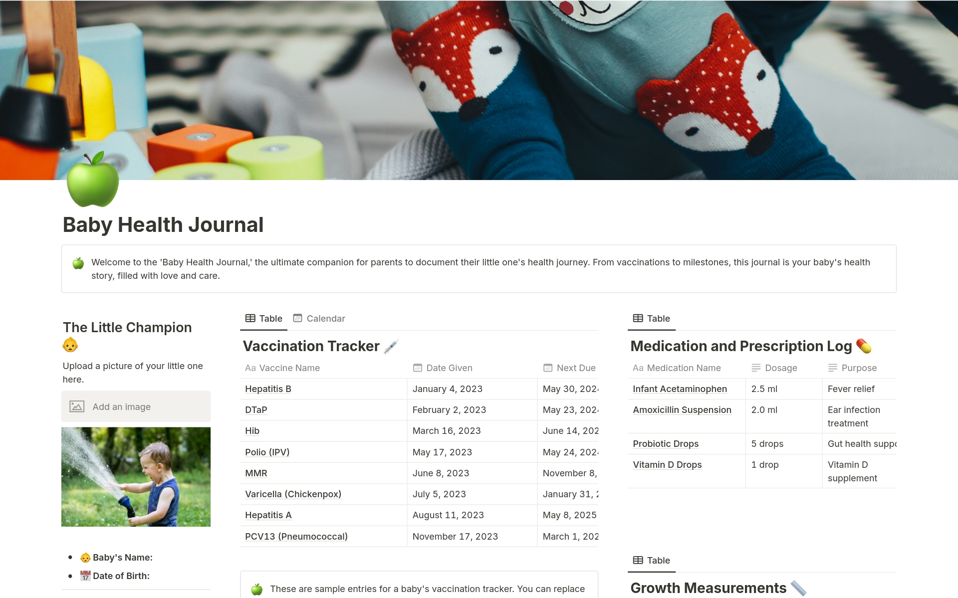 A template preview for Baby Health Journal