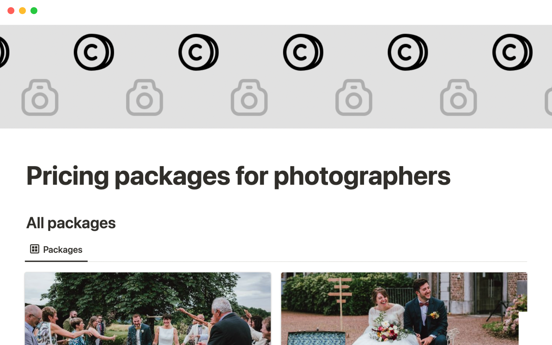 A template preview for Photographer price packages
