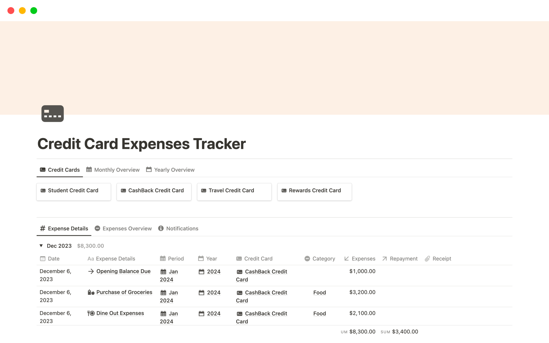 Vista previa de una plantilla para Credit Card Expenses Tracker