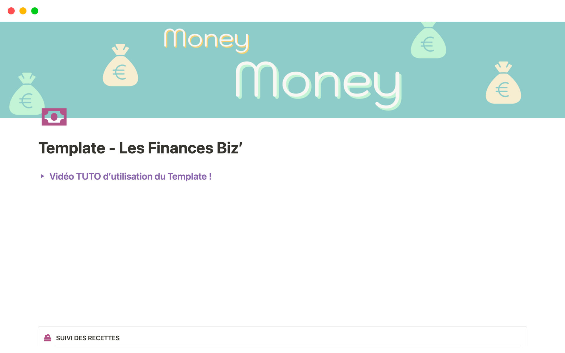 A template preview for Template - Les Finances Biz’