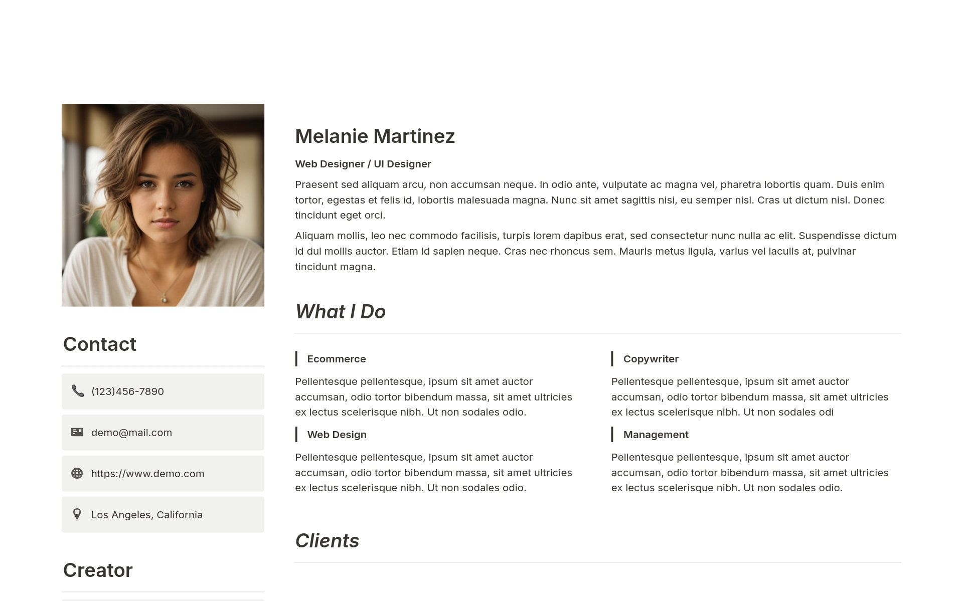 A template preview for Professional Resume