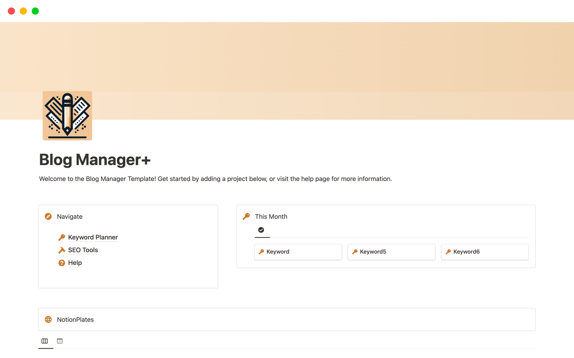 A template preview for Blog Manager for SEO