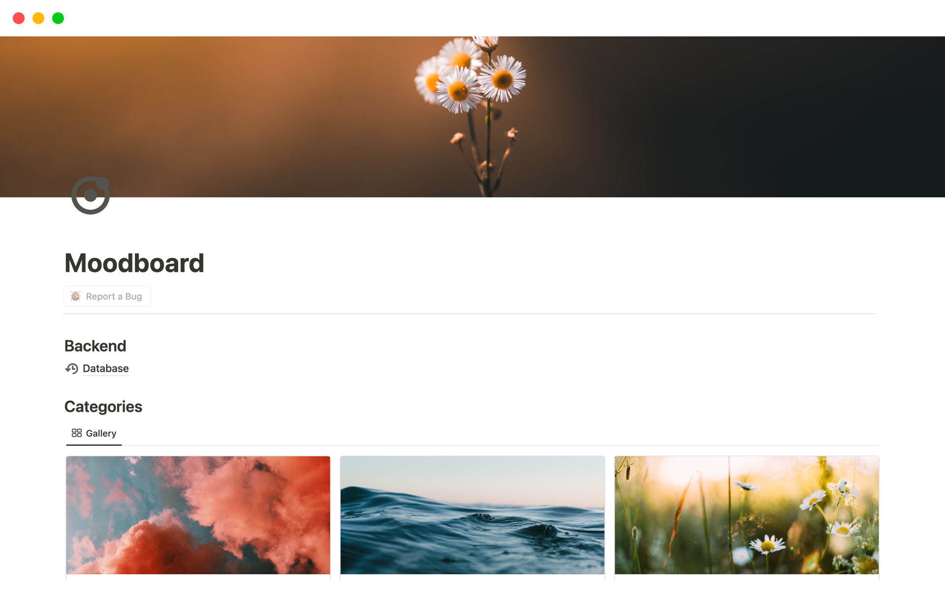 Curate your inspiration with a sleek and intuitive platform that simplifies image organization, categorization, and color tagging for effortless visual exploration.