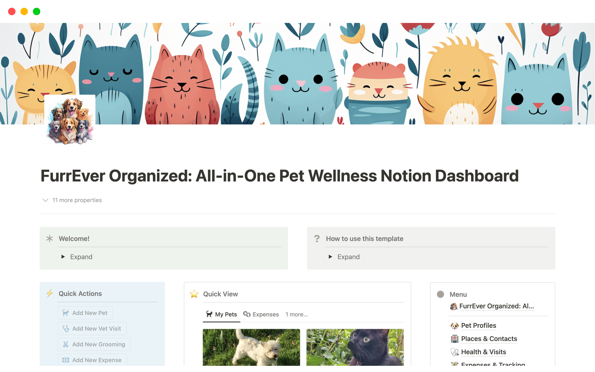 A template preview for All-in-One Pet Wellness Dashboard