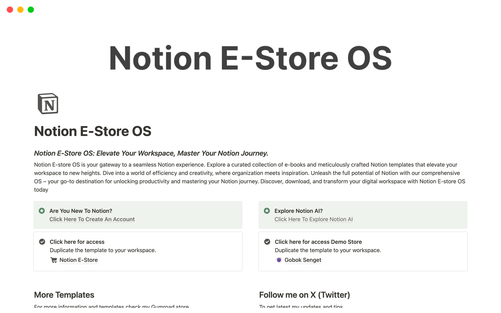 A template preview for E-Store OS