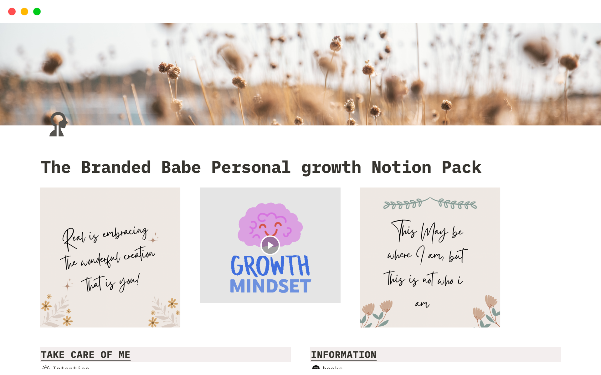 En forhåndsvisning av mal for The Branded Babe Personal growth Pack