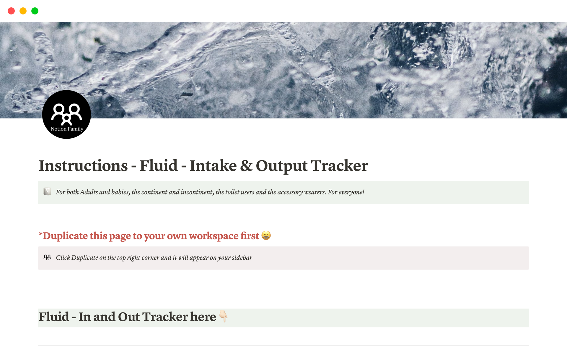 A template preview for Fluid - Intake & Output Tracker