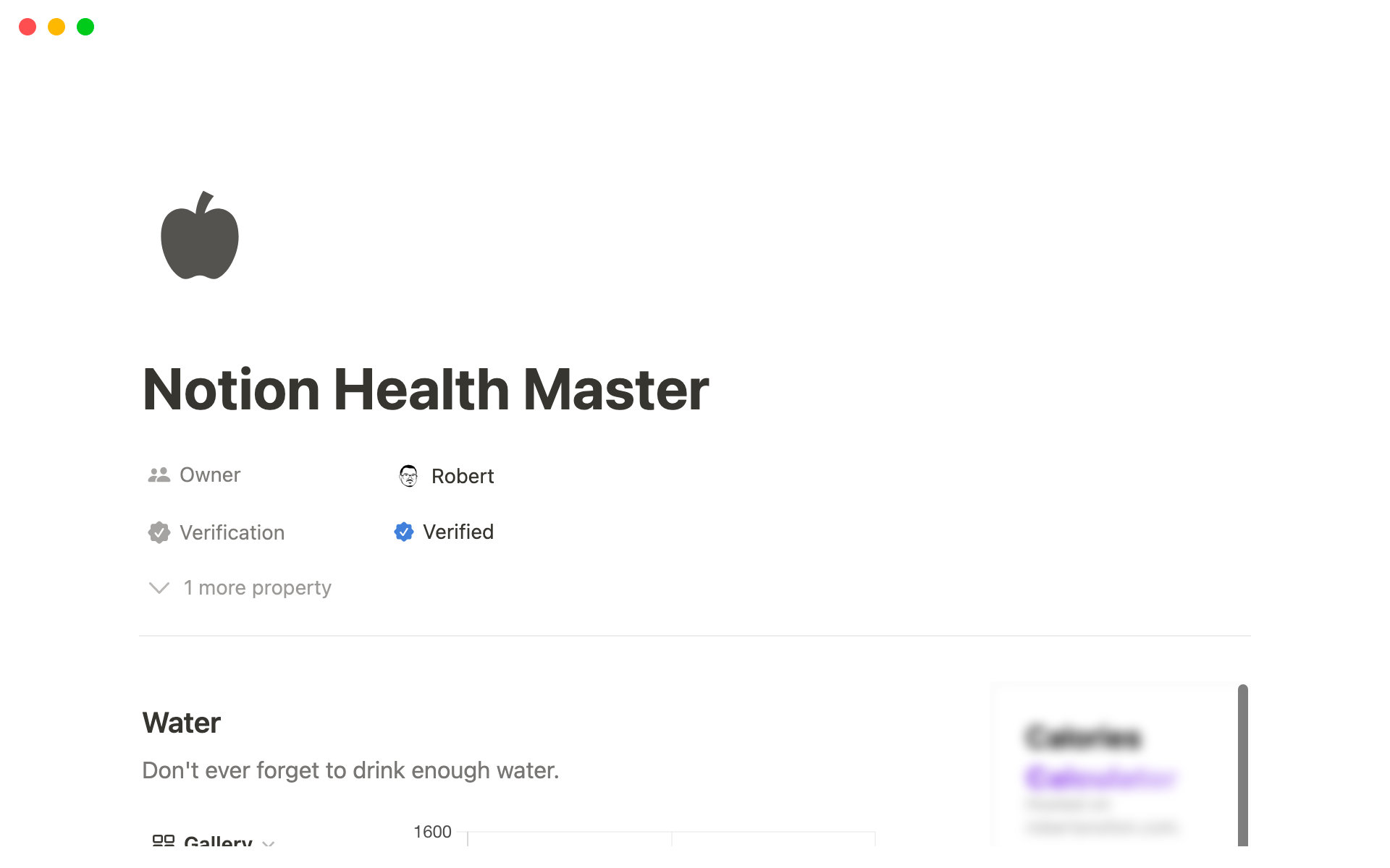 A template preview for Notion Health Master