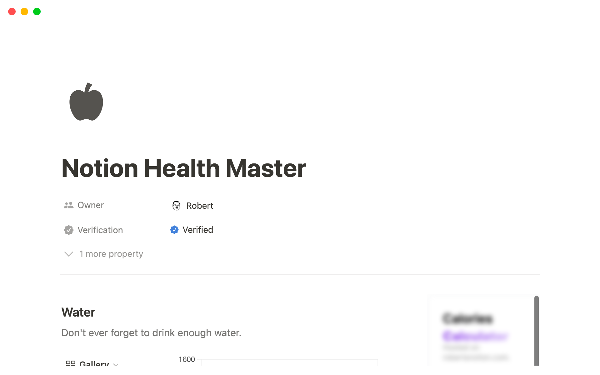 Vista previa de una plantilla para Notion Health Master