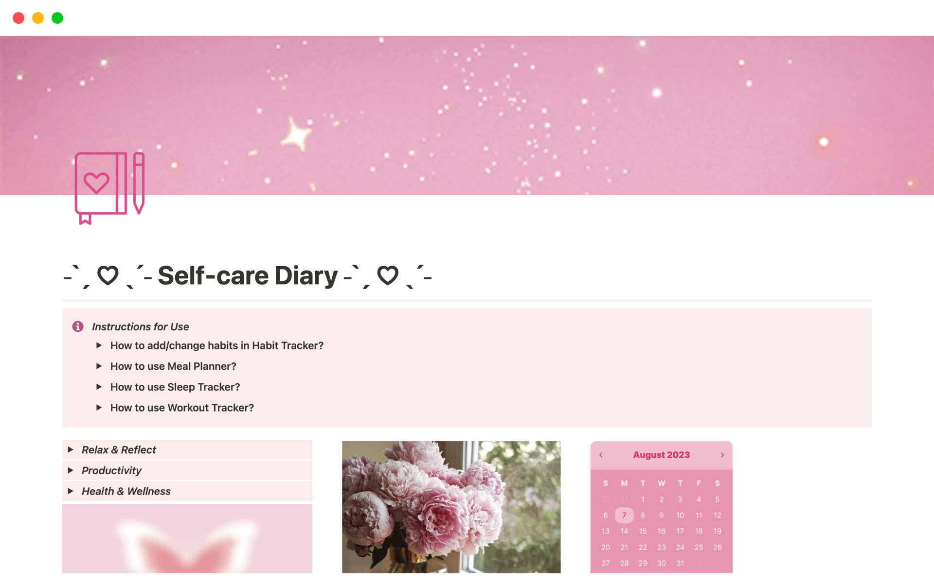 A template preview for Self-care Diary