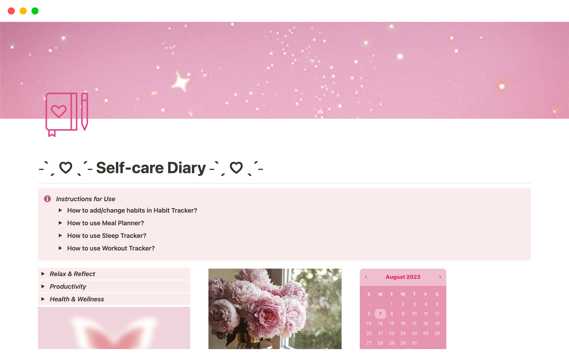 Aperçu du modèle de Self-care Diary