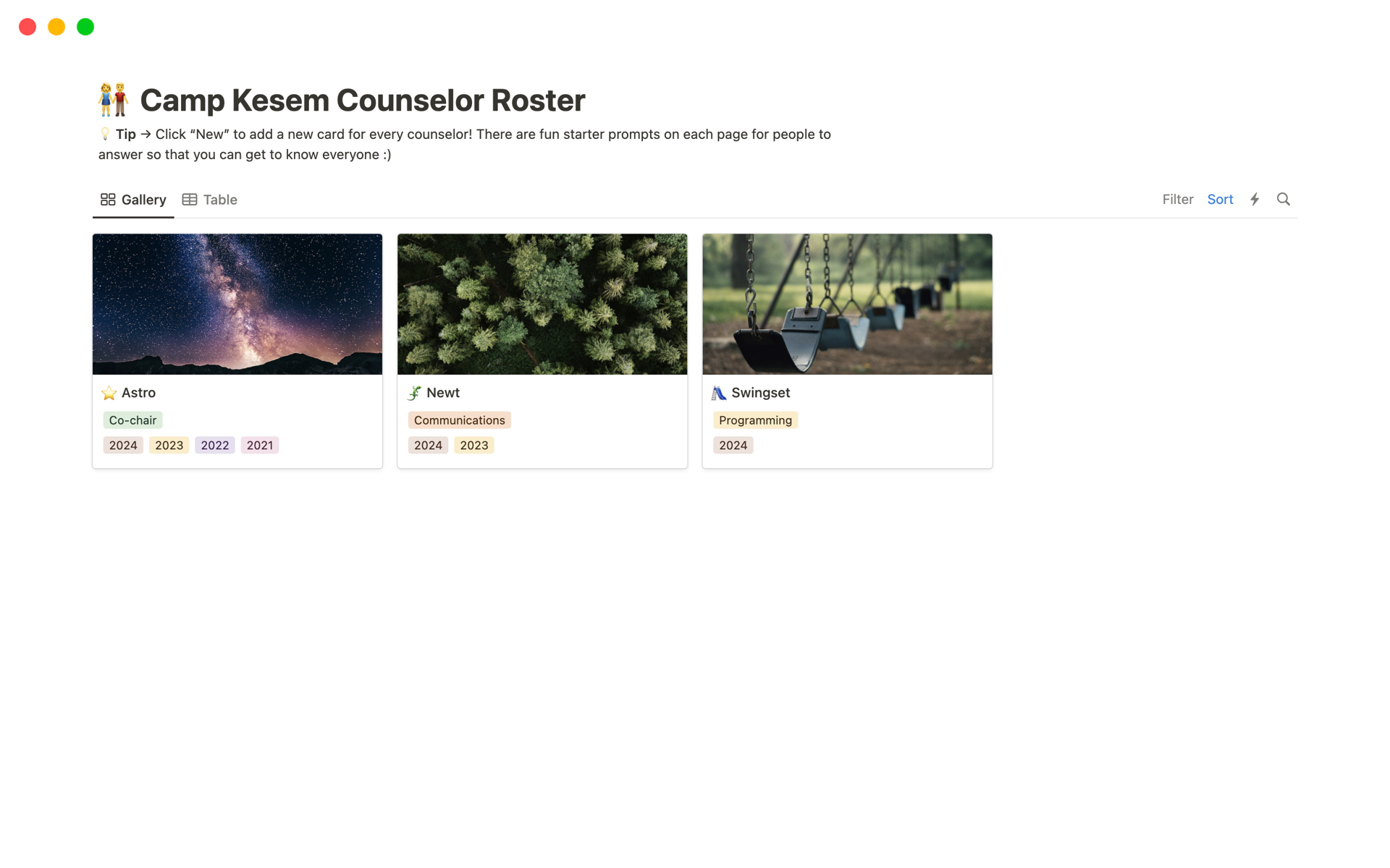 A template preview for Stanford Camp Kesem Counselor Roster