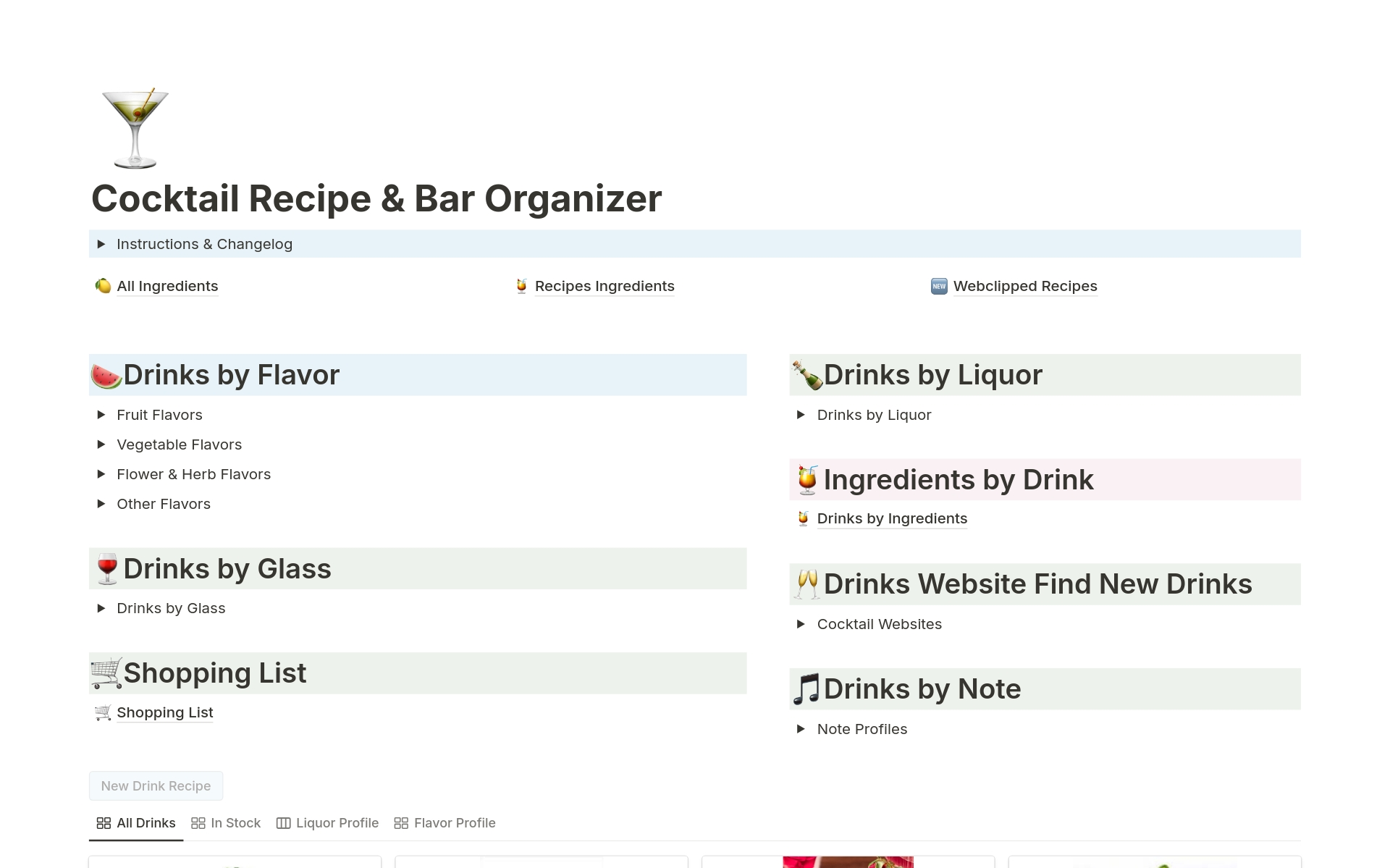 A template preview for Cocktail Recipe & Bar Organizer