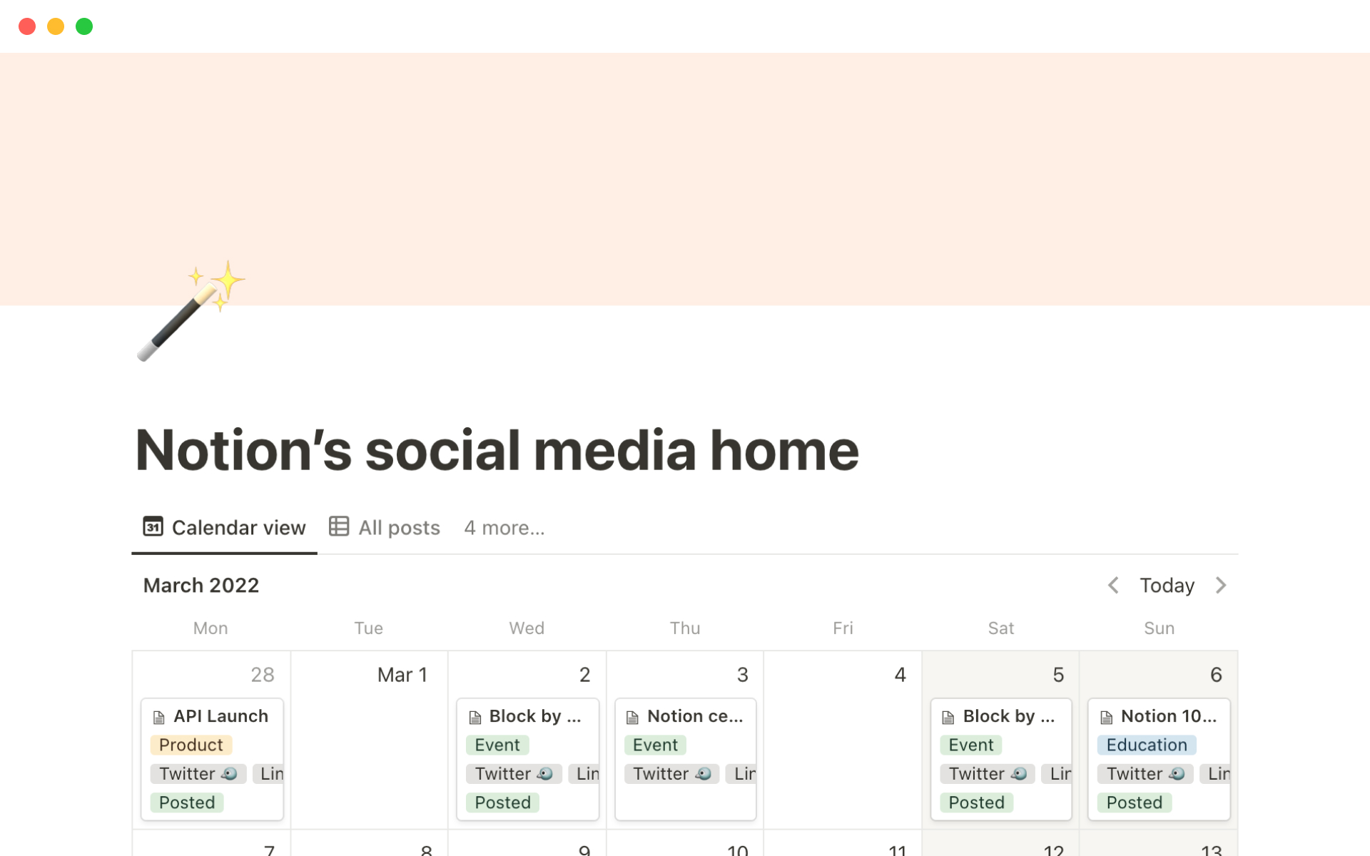 A template preview for Notion’s social media home