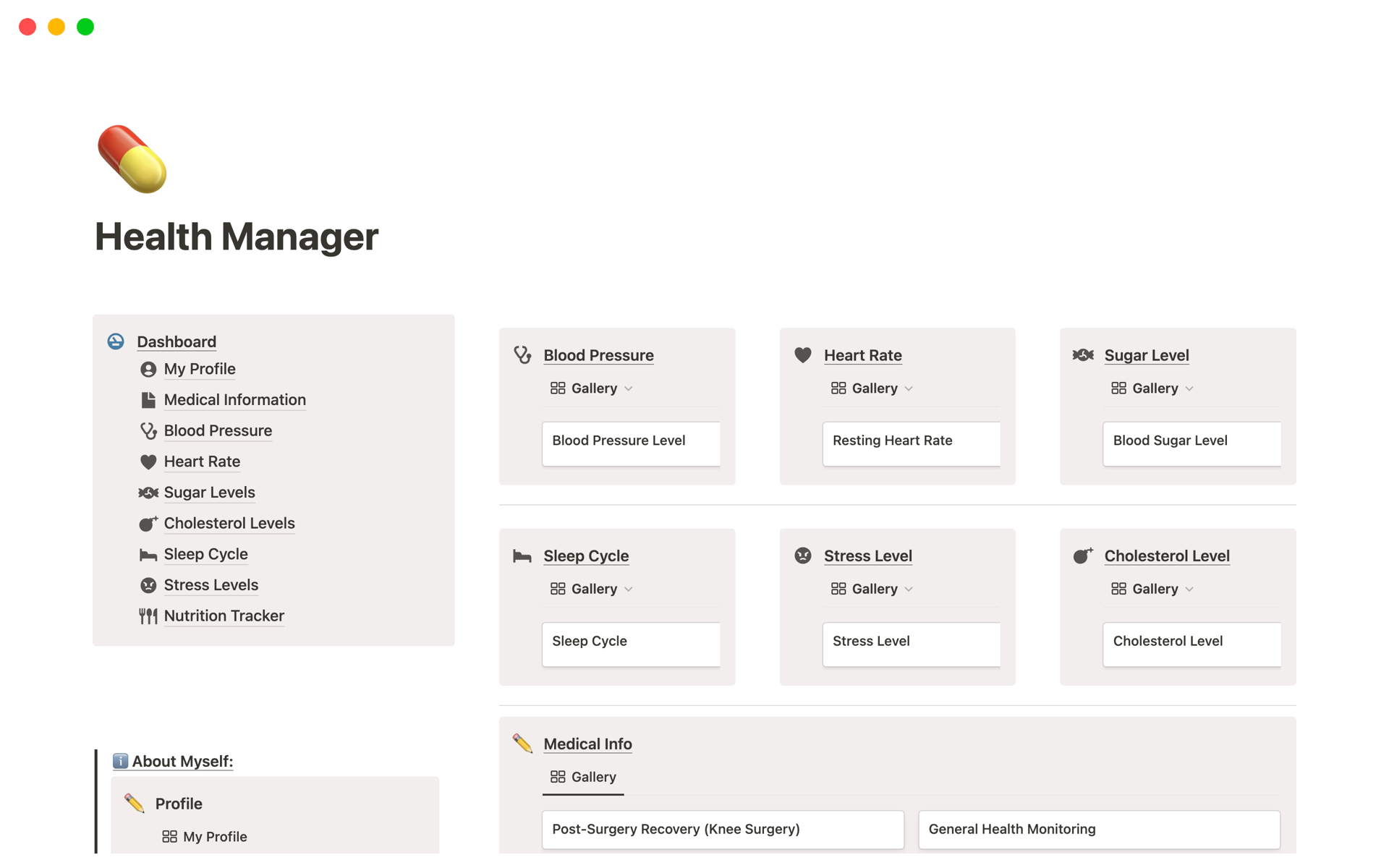 A template preview for Health Manager