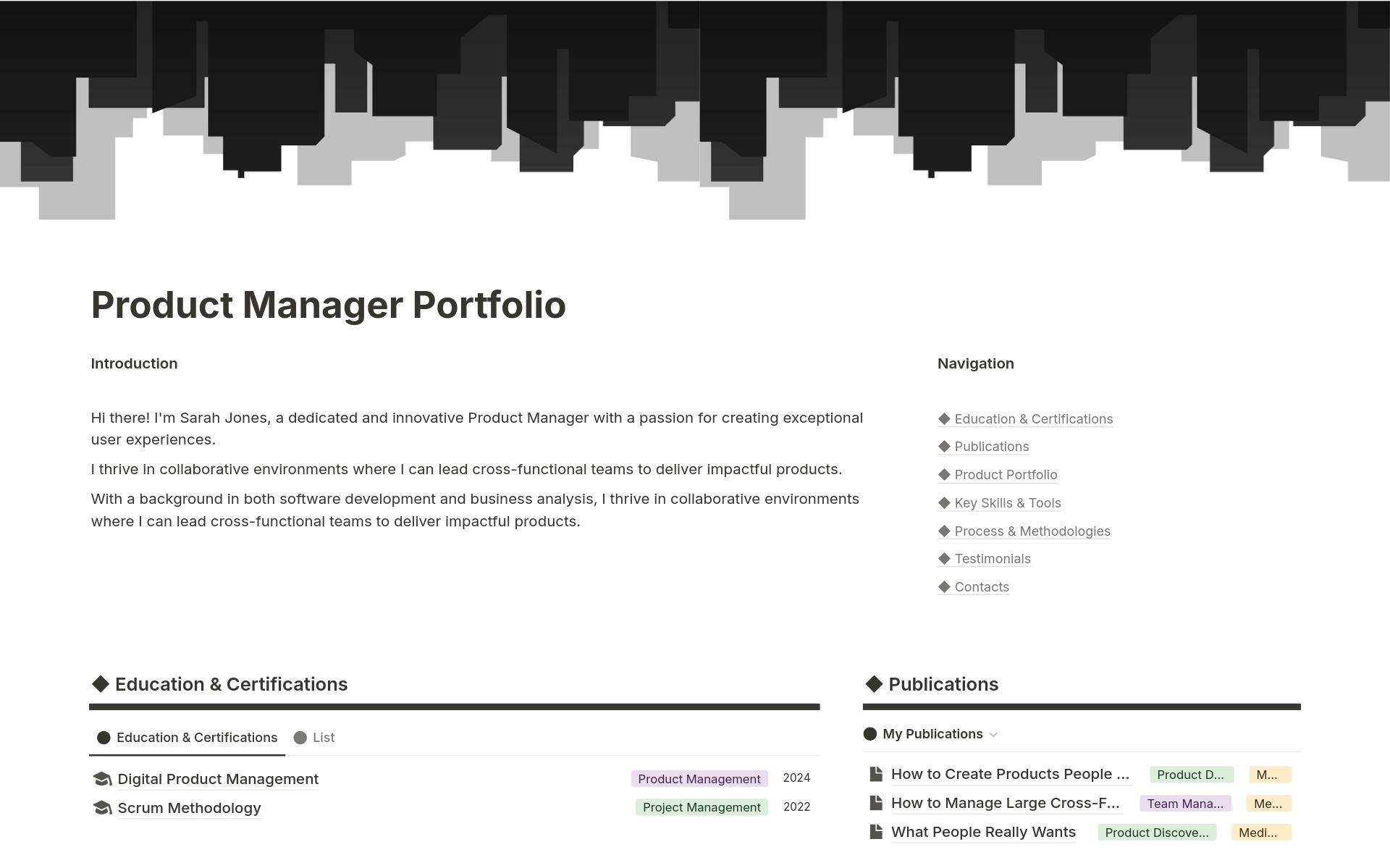 Product Manager Portfolio | Perfect CVのテンプレートのプレビュー