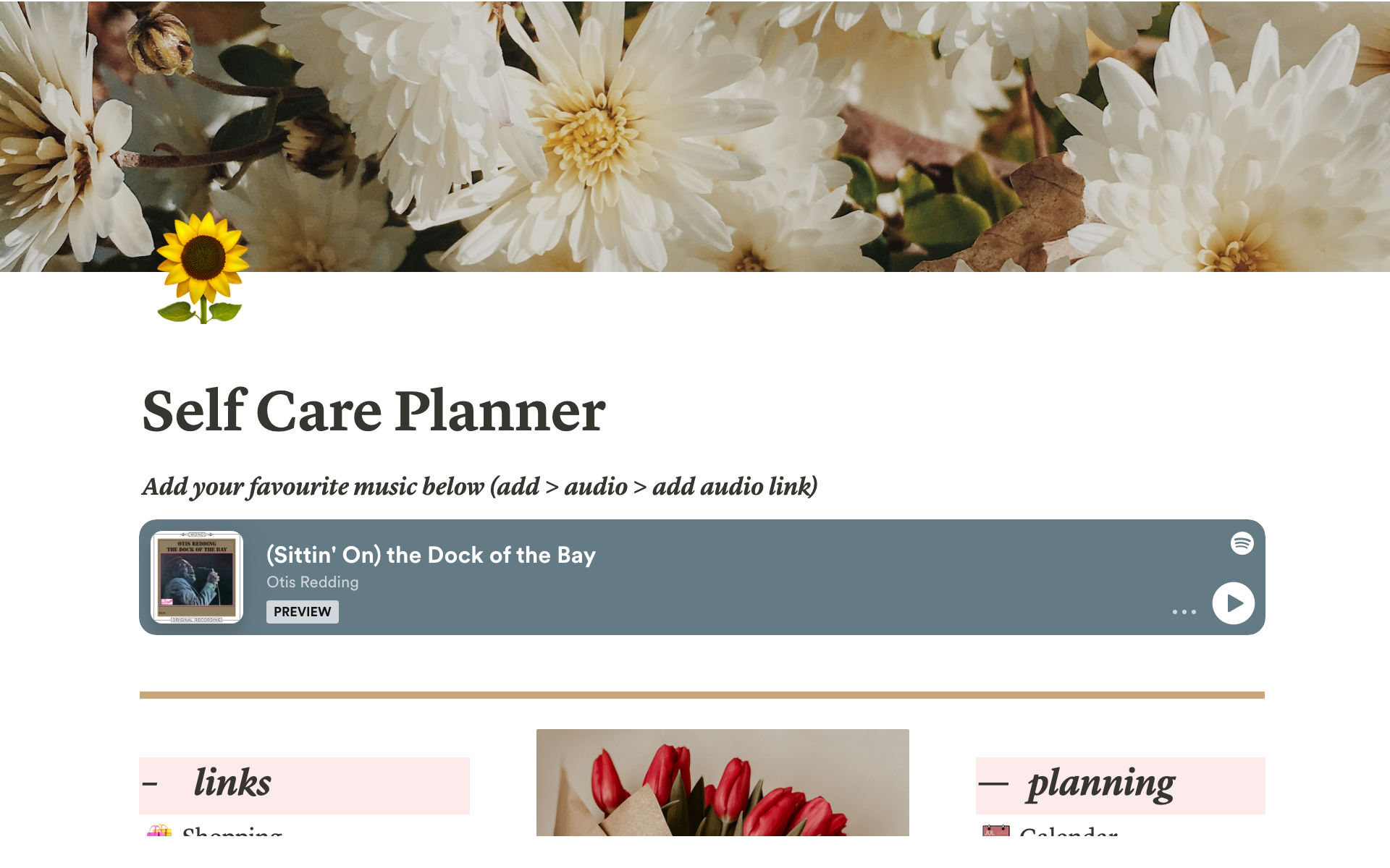A template preview for Self-Care Wellness Planner