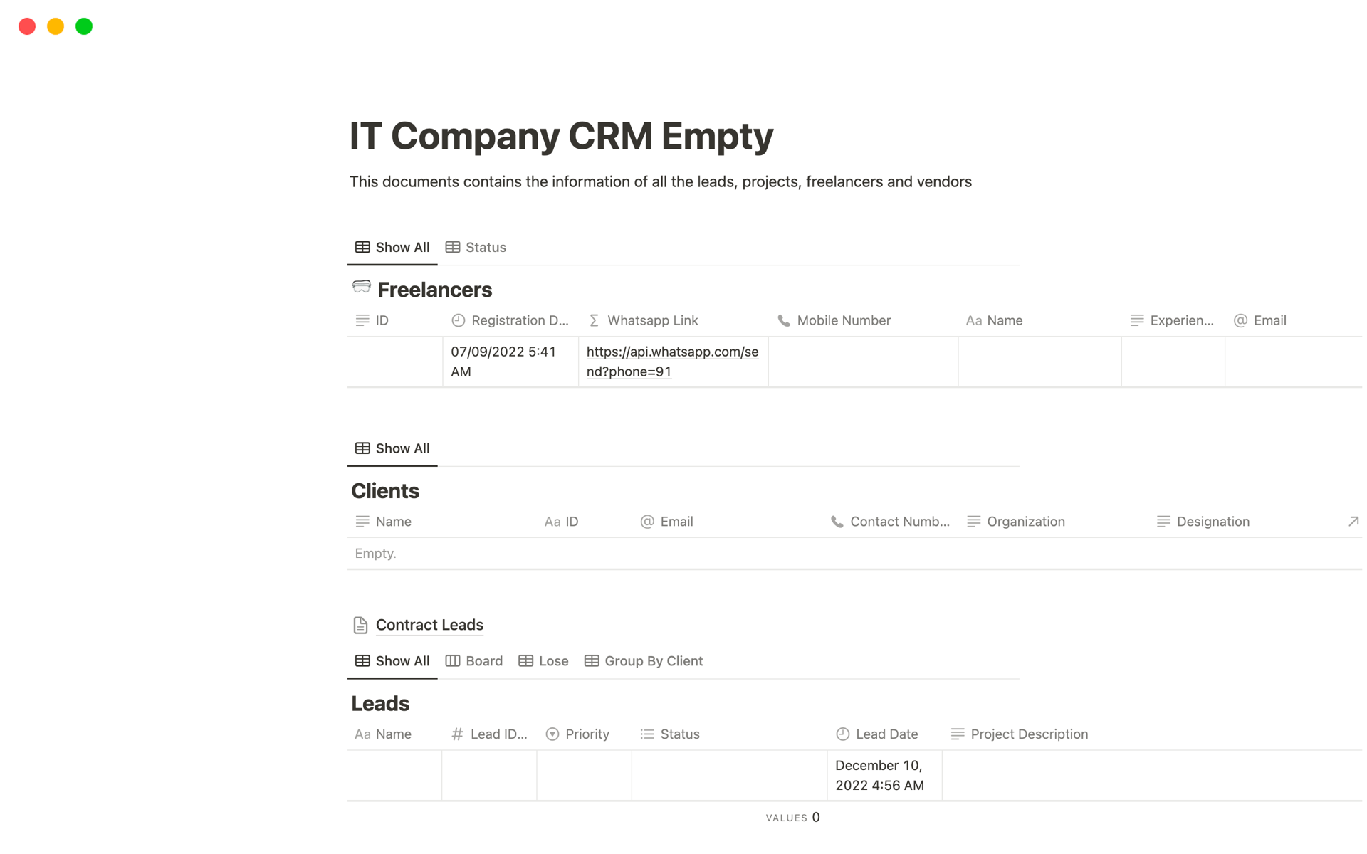 A template preview for IT Company CRM