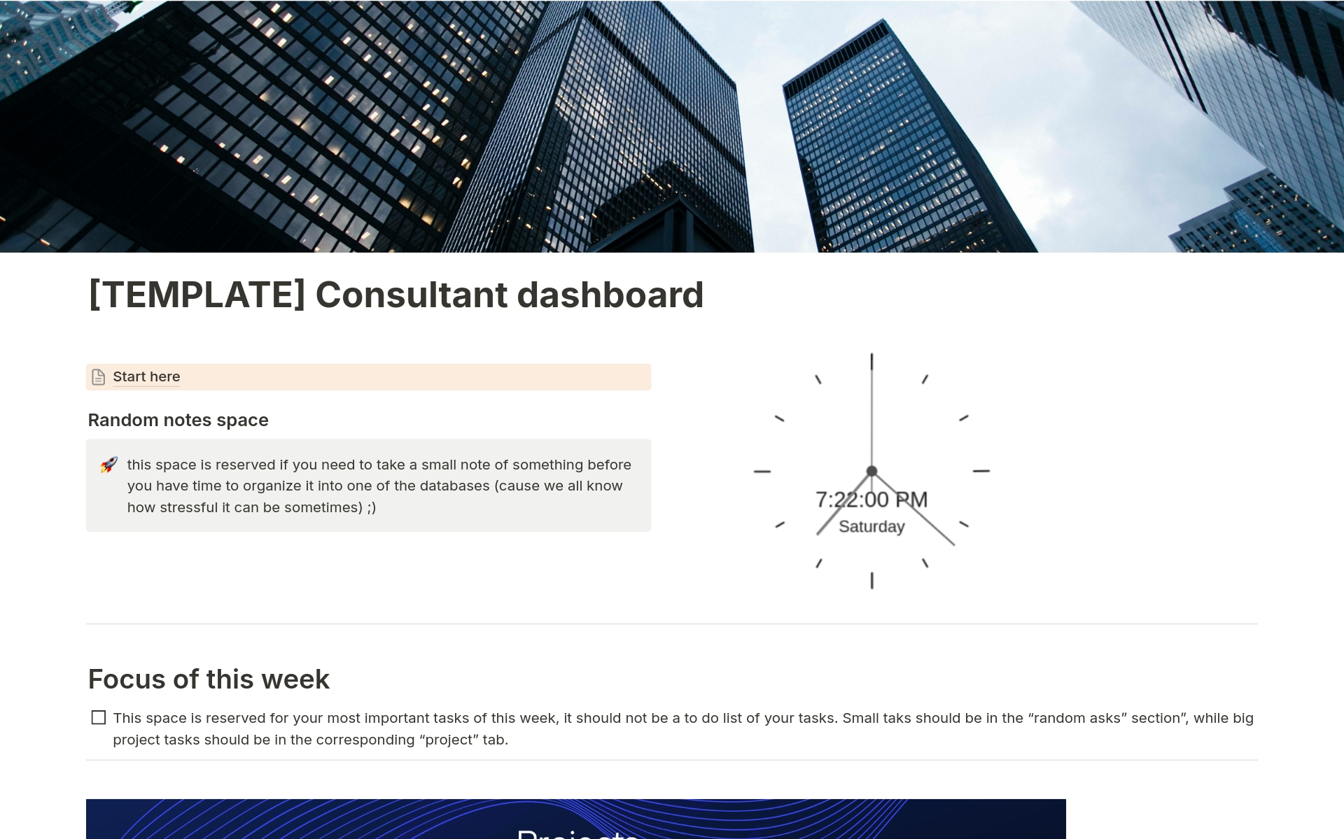 A template preview for Consultant Dashboard