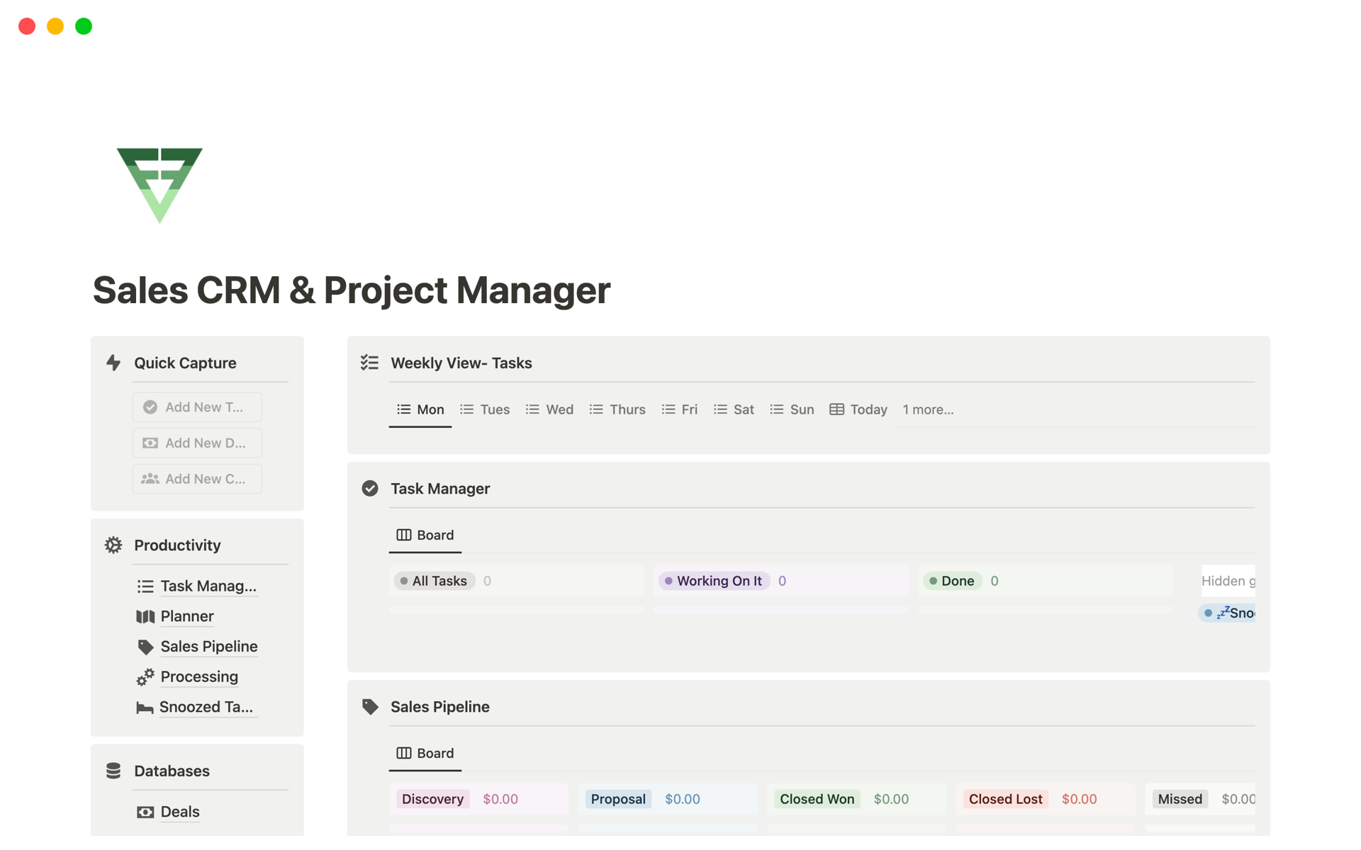 A template preview for Sales CRM & Project Manager 