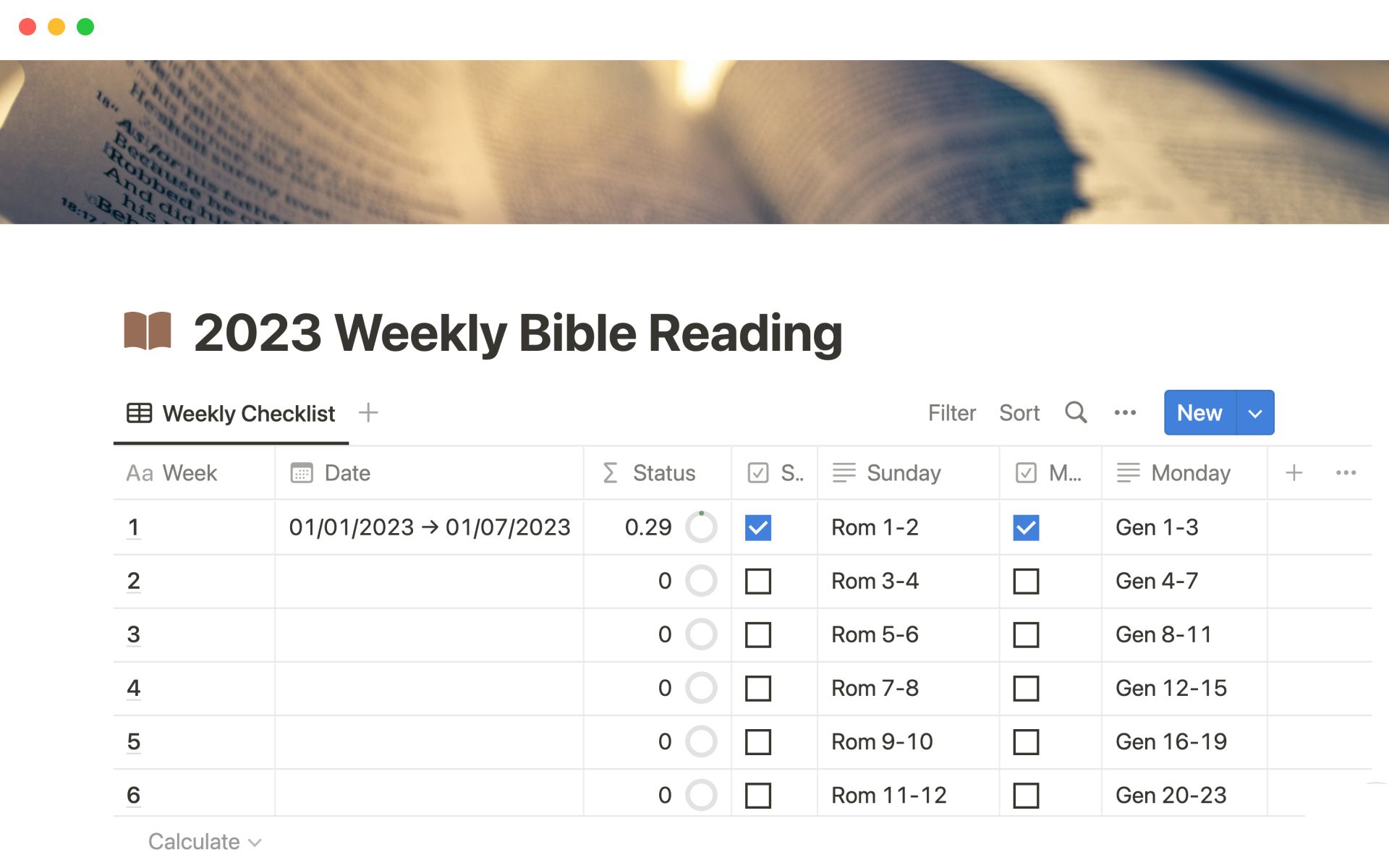 A template preview for 52-week Bible reading plan