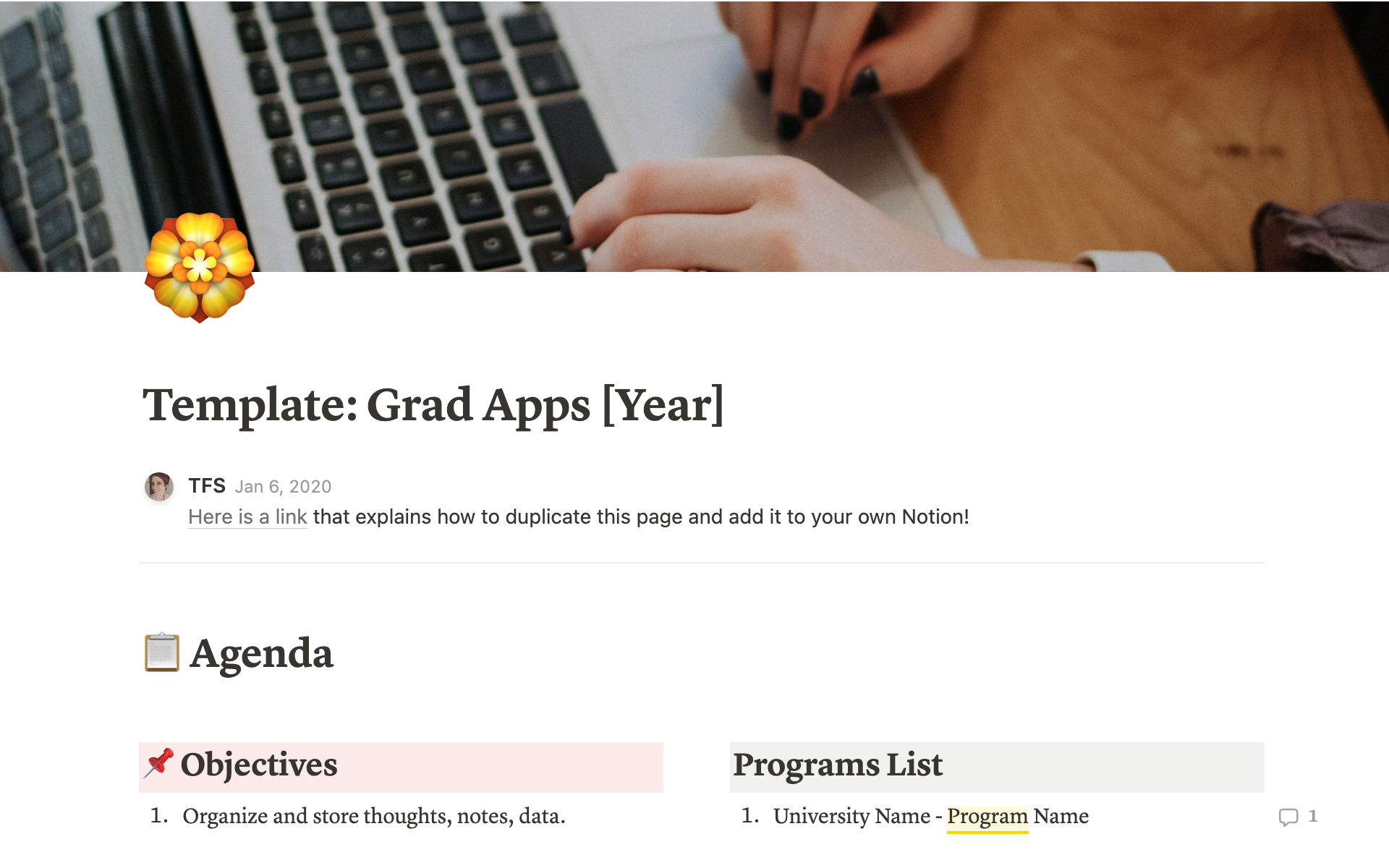 A template preview for Graduate Application Planner/Organizer