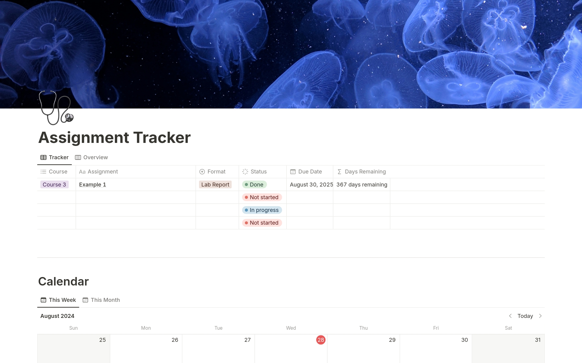 go template assignment A template preview for Assignment Tracker