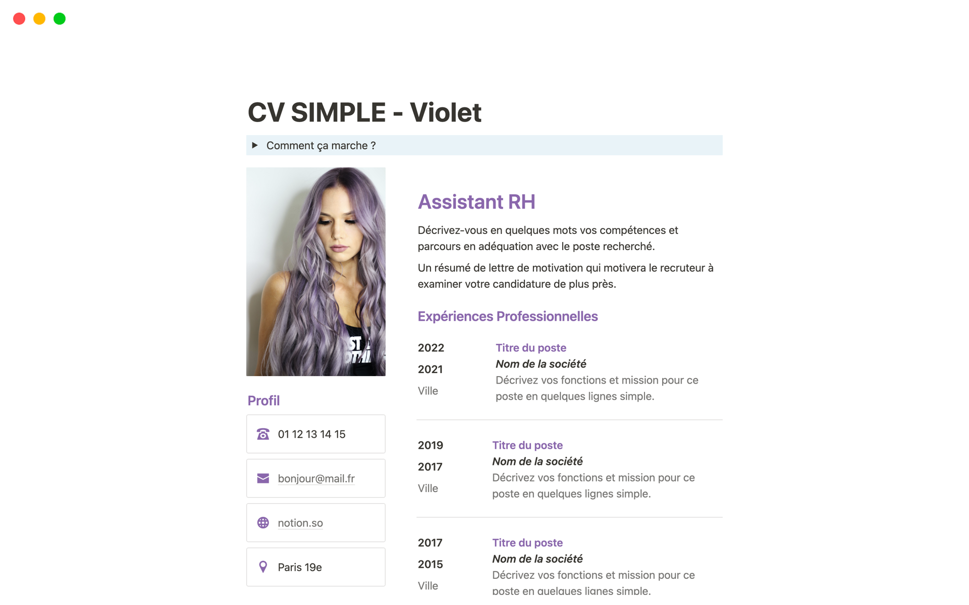 Uma prévia do modelo para CV SIMPLE - Violet