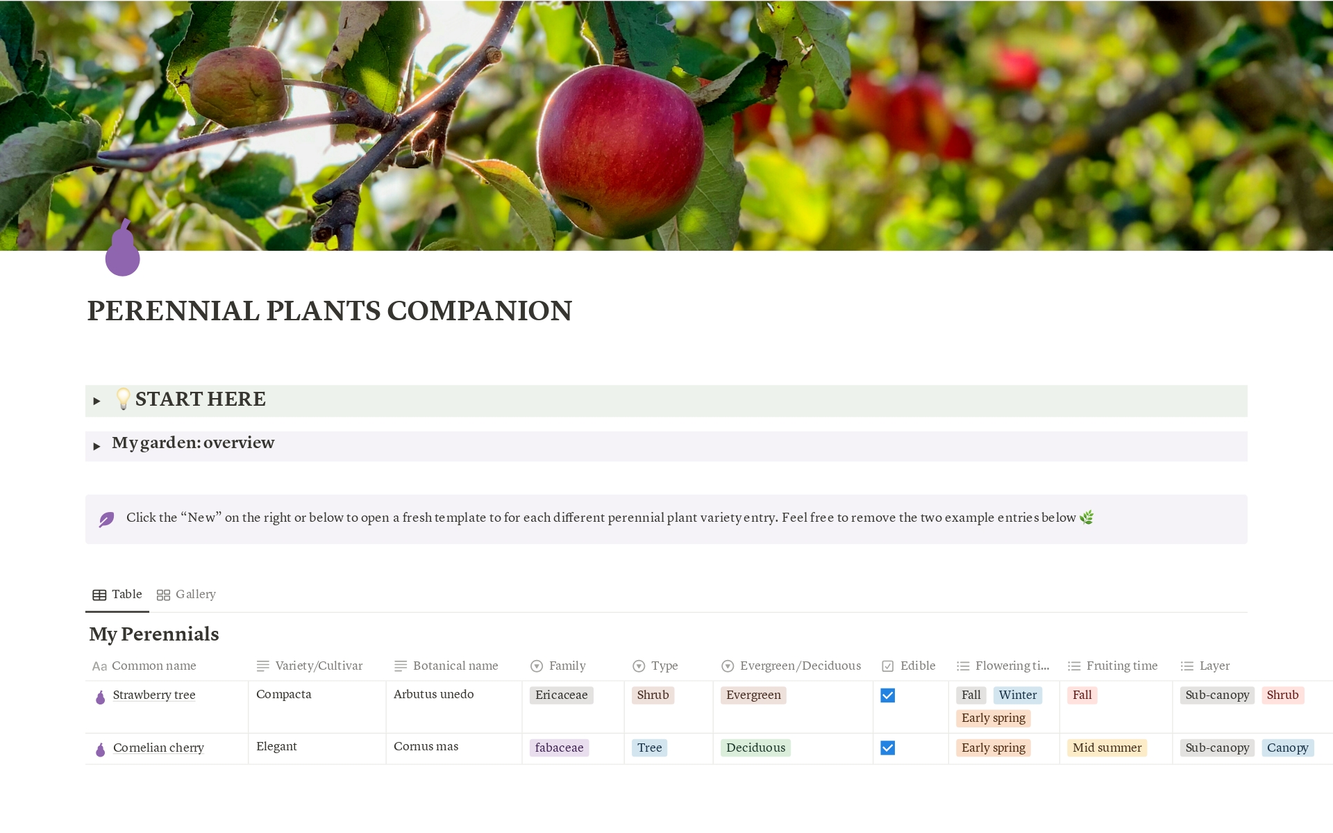 A template preview for Perennial Plants Garden Companion
