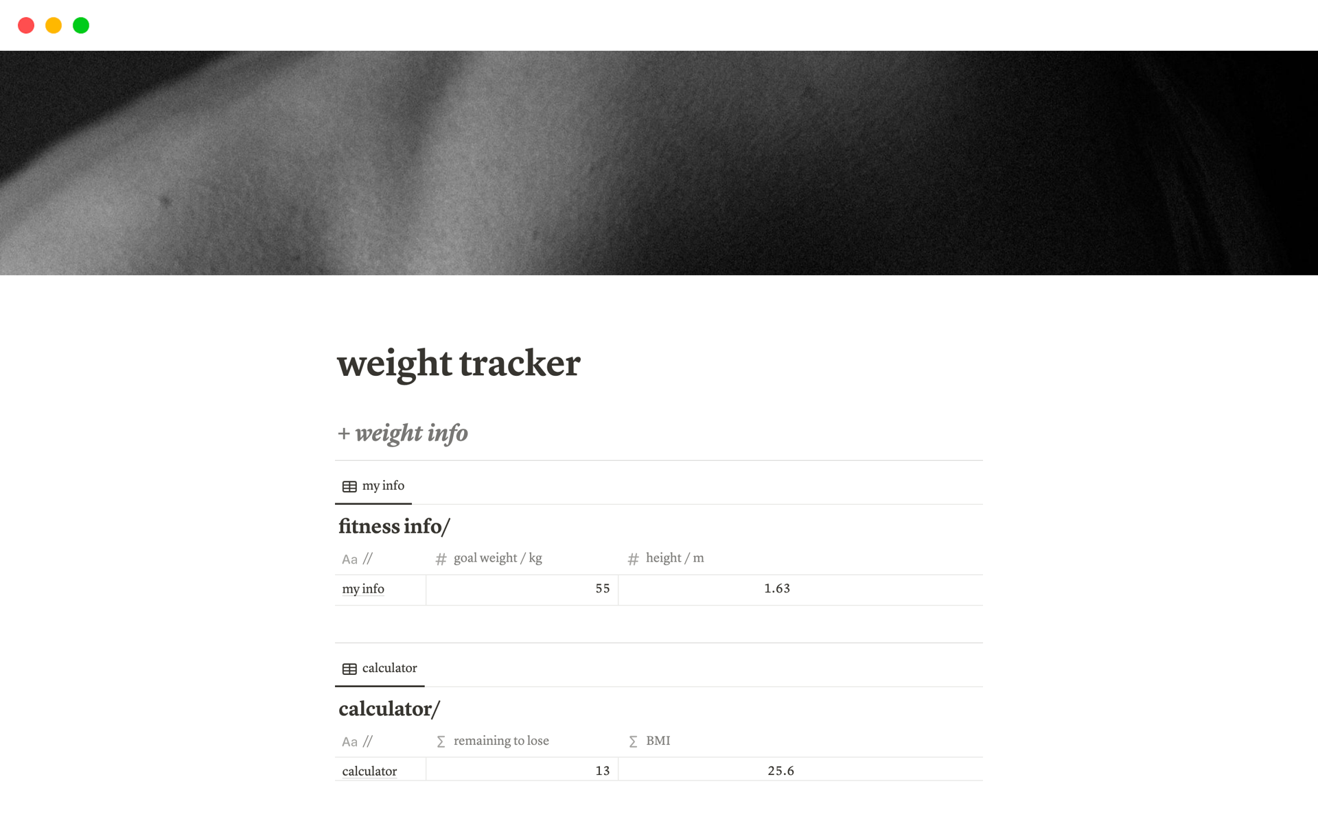 A template preview for minimalistic weight tracker