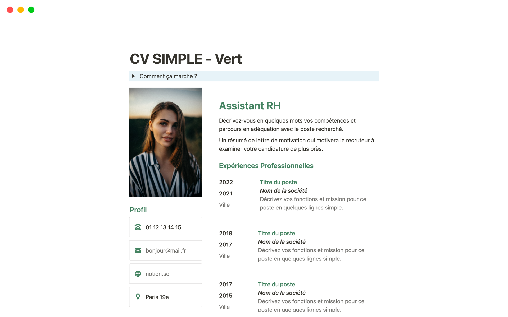 A template preview for CV simple vert en Français