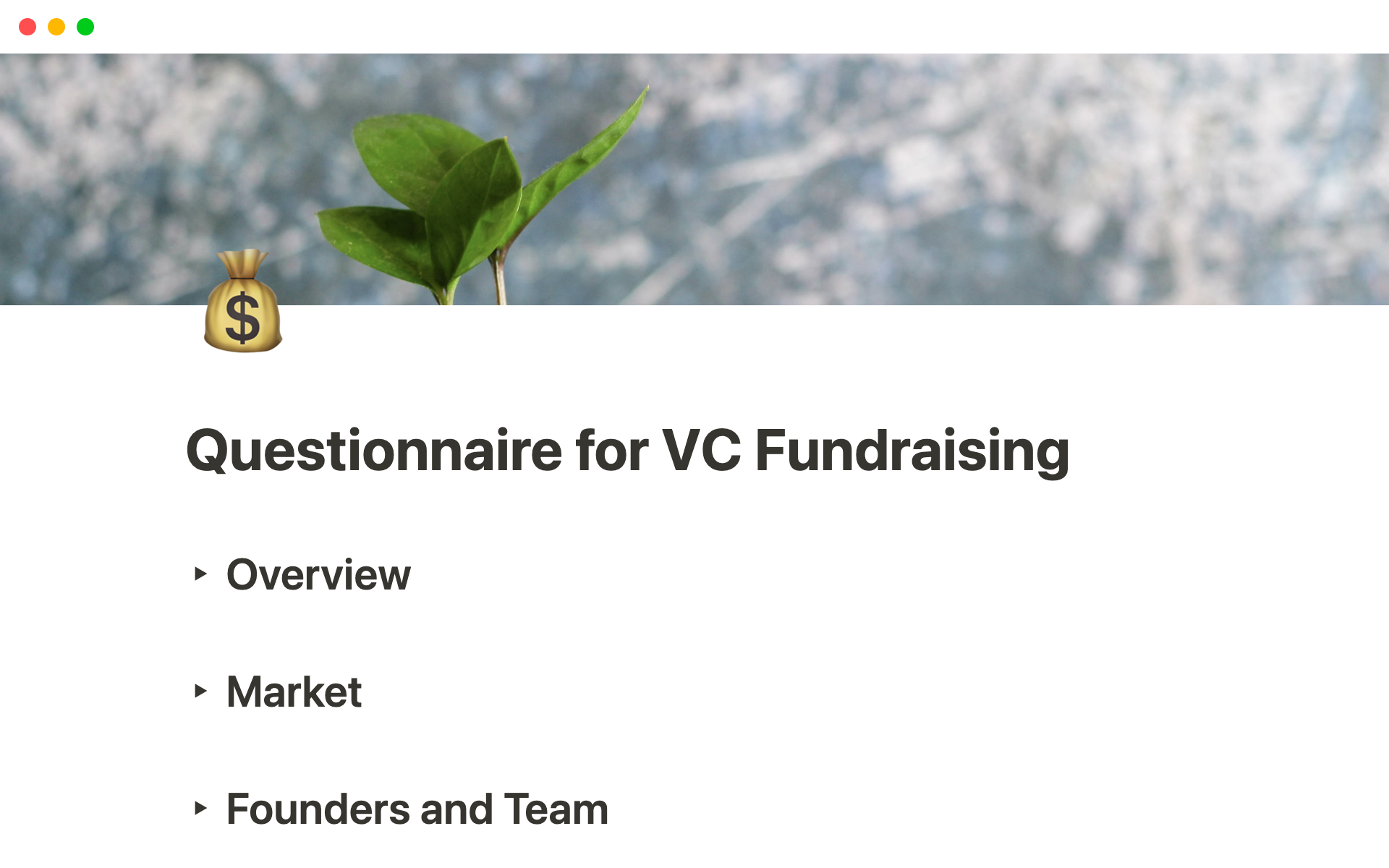 A template preview for Questionnaire for VC Fundraising