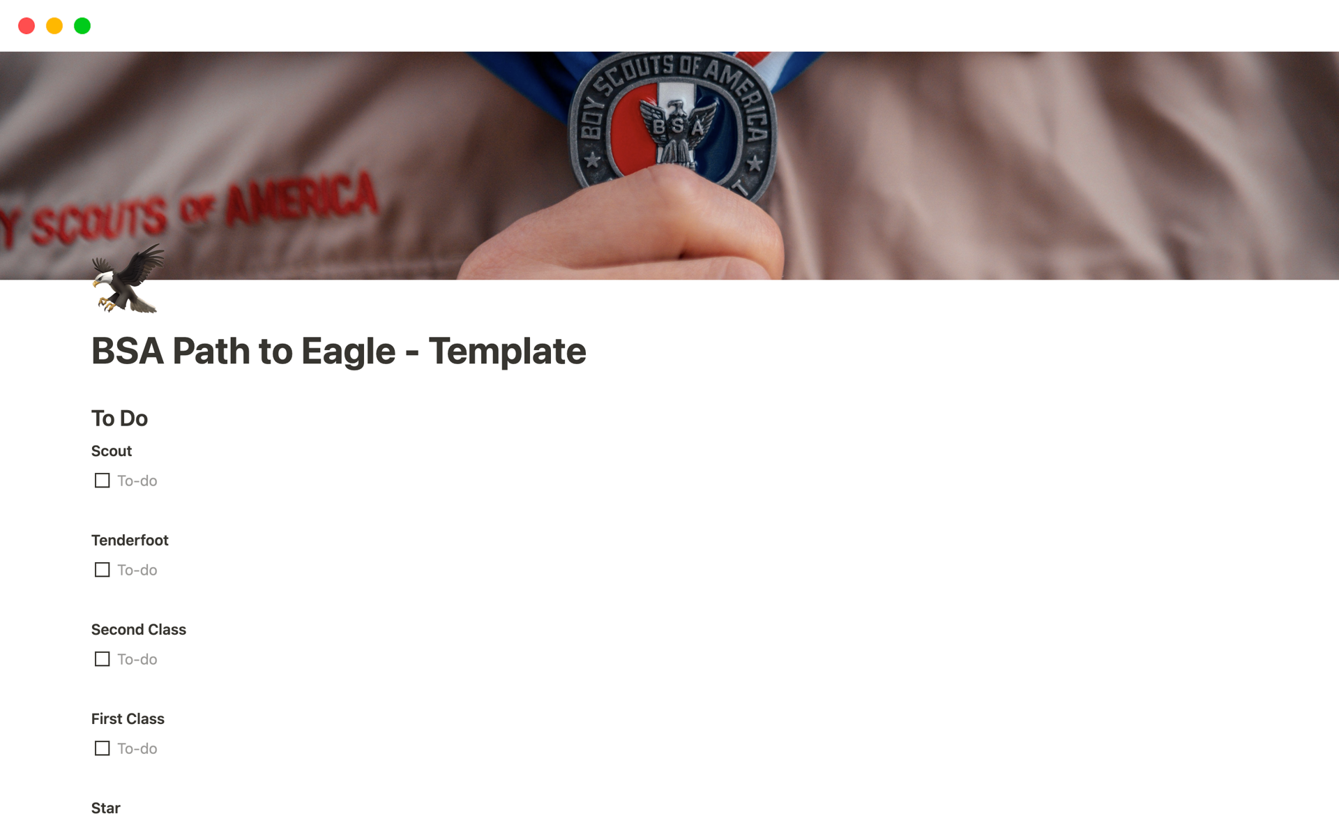 A template preview for BSA Path to Eagle