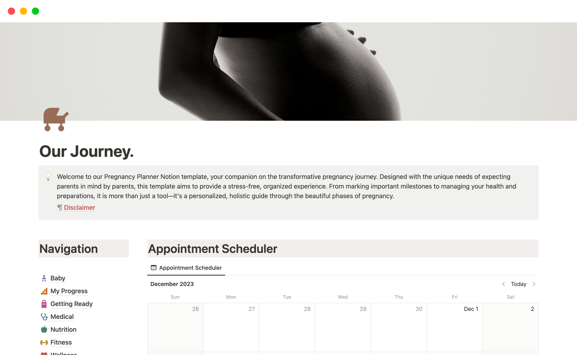 A template preview for Complete Pregnancy Planner