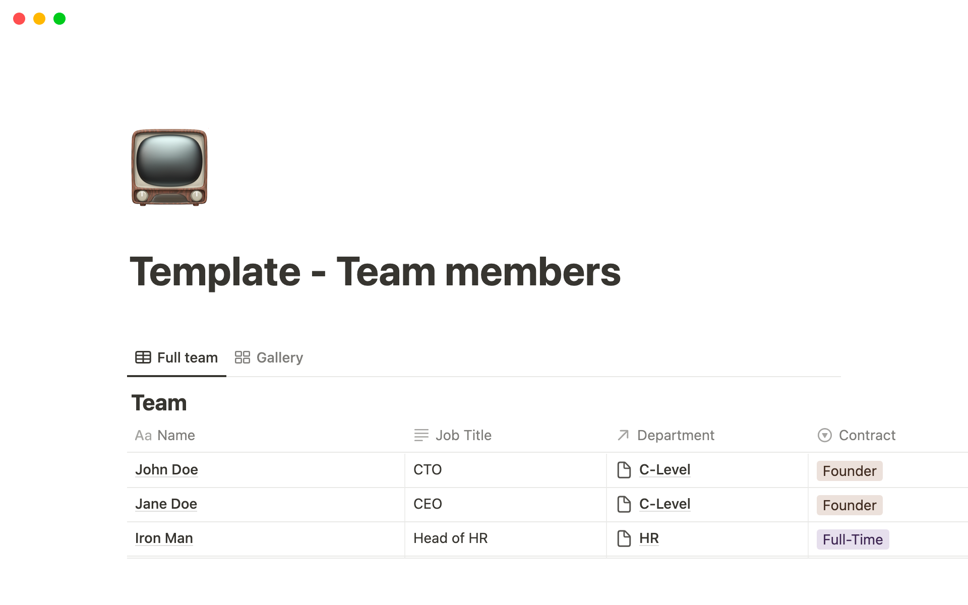 Team information Notion Template