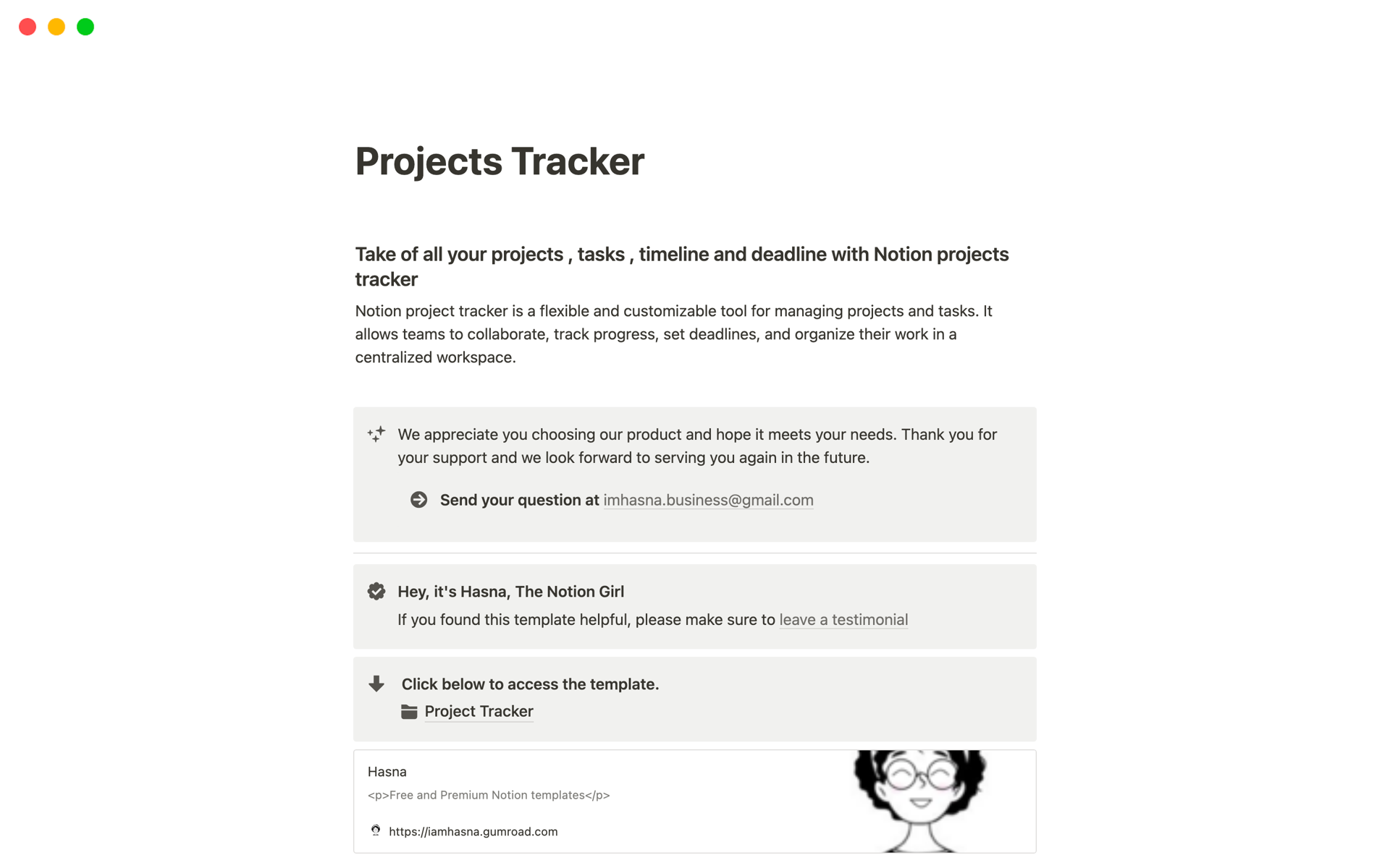 A template preview for Projects Tracker