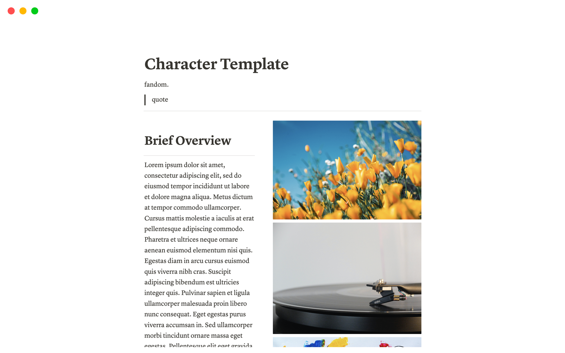 A template preview for Character Template