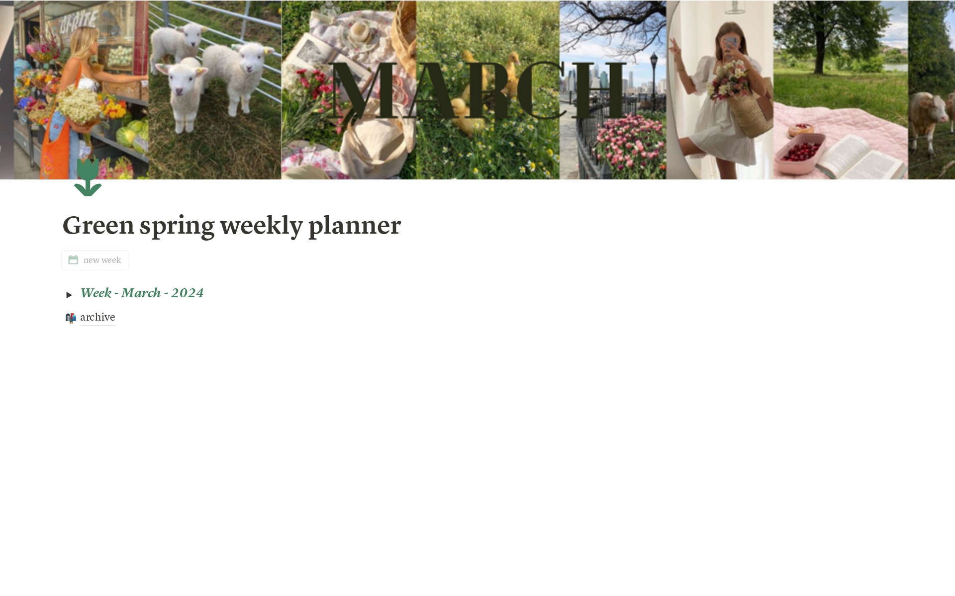 A template preview for Spring weekly planner