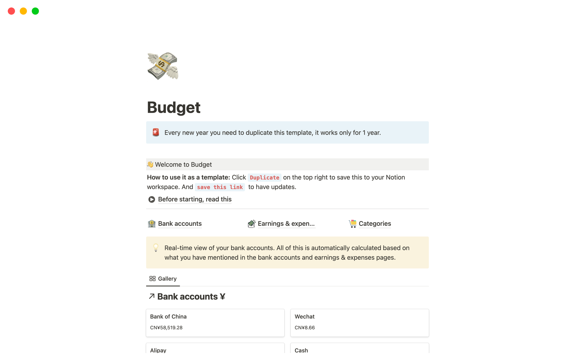 A template preview for Budget