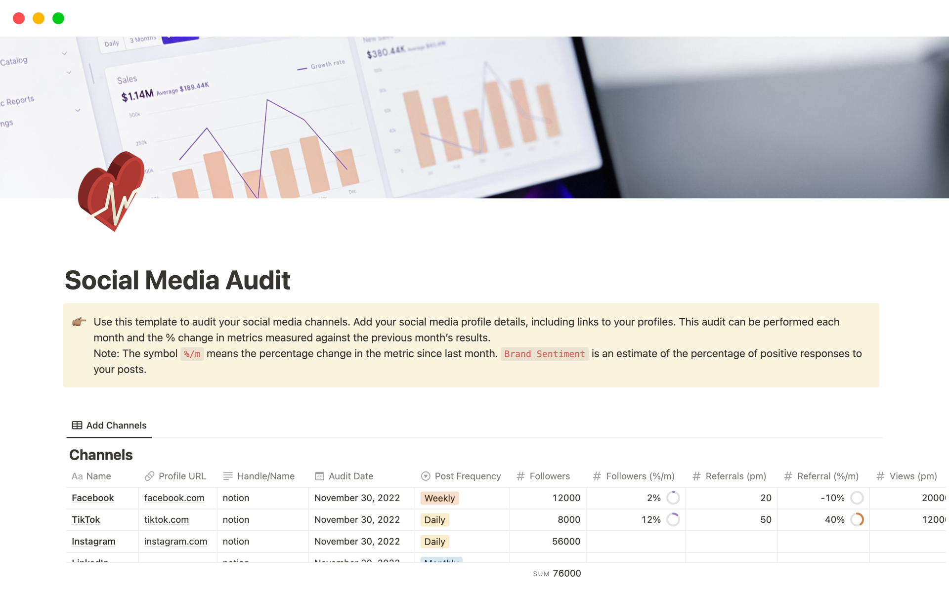 A template preview for Social Media Audit
