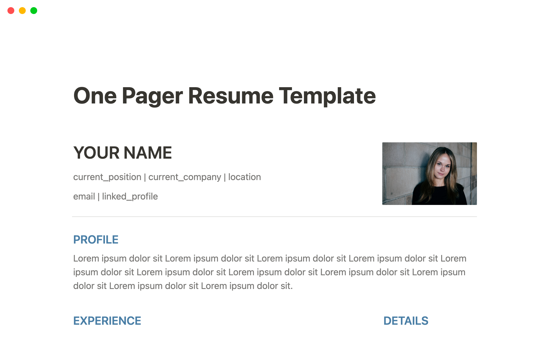 A template preview for One Pager Resume Template