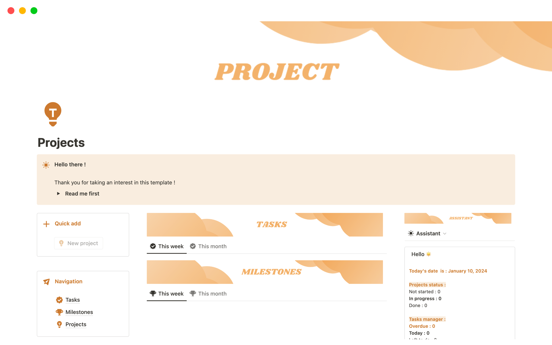 A template preview for Project Manager
