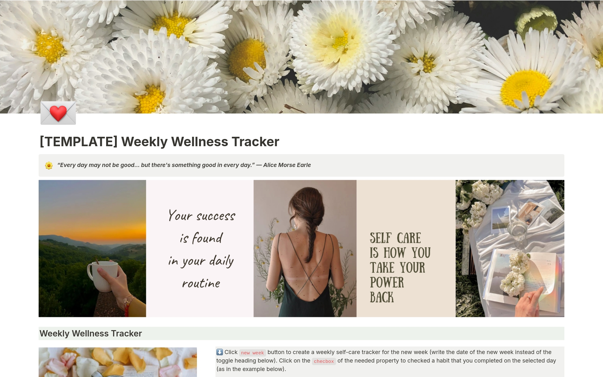 A template preview for Weekly Wellness Tracker
