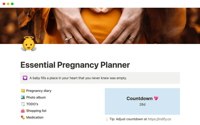Essential Pregnancy Planner