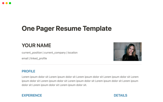 One Pager Resume Template