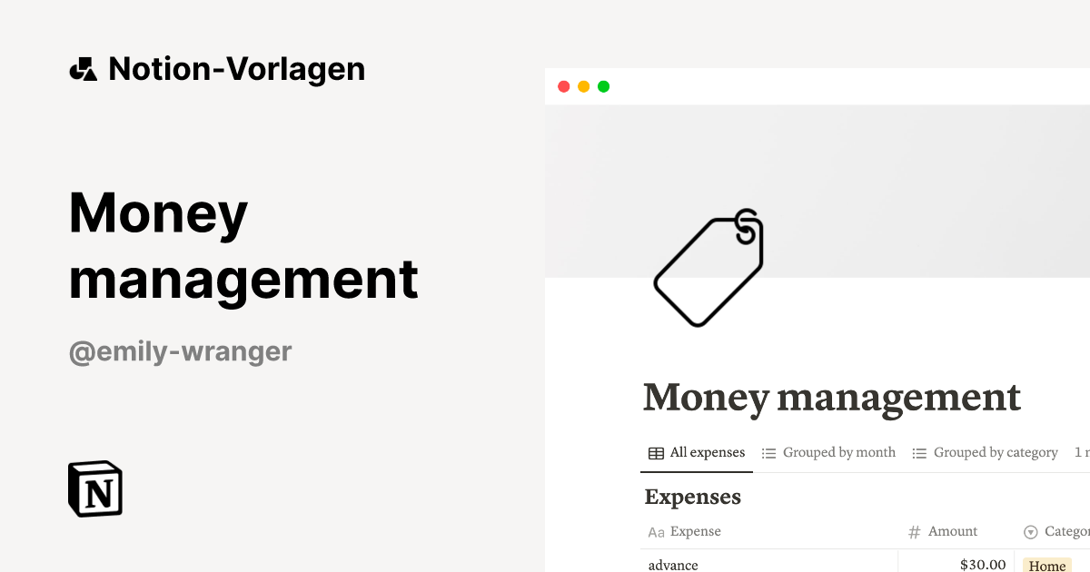 Money management NotionVorlage